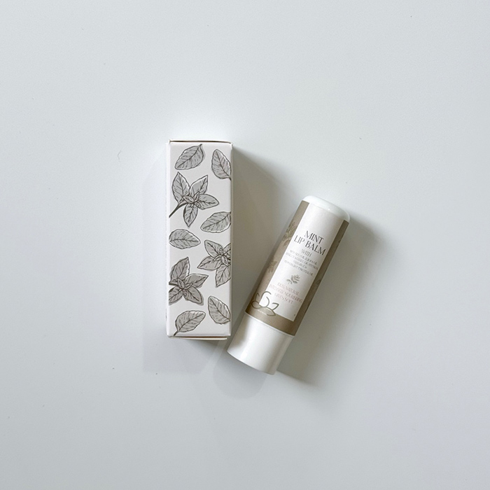 بالم لب ماتیکی نعنا 5گرمی